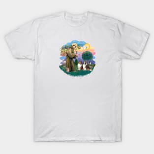 Saint Francis Blesses Two Shetland Sheepdogs T-Shirt